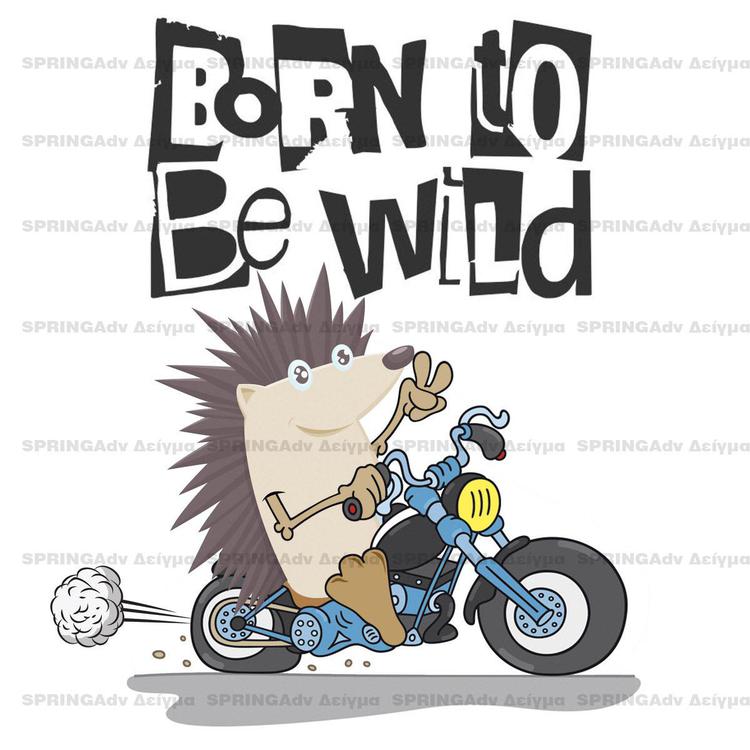 Born to be Wild / Σκαντζόχοιρος